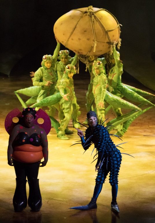 Cirque Du Soleil’s OVO Buzz into Miami!