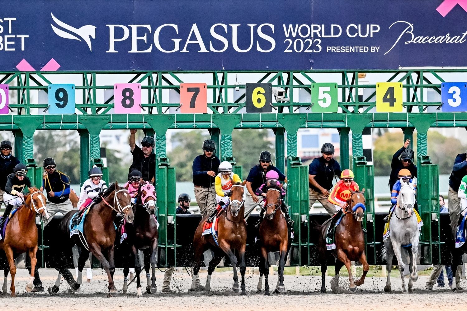 Calvin Harris to headline the 2024 Pegasus World Cup – 1